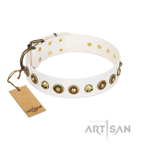 Genuine leather collar with inimitable studs for your pet