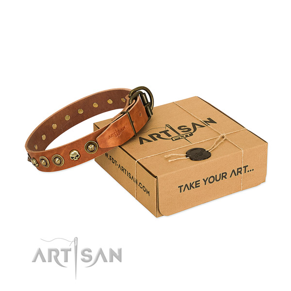 Genuine leather collar with impressive studs for your canine