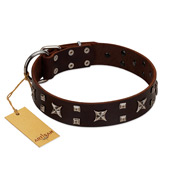 "Bigwig Woof" FDT Artisan Brown Leather Collie Collar with Chrome Plated Stars and Square Studs