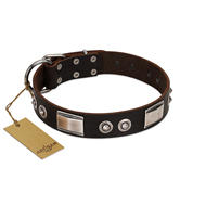 "Baller Status" FDT Artisan Brown Leather Collie Collar Adorned with a Set of Chrome Plated Studs and Plates