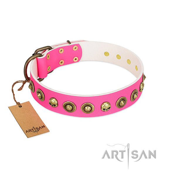 Awesome leather dog collar with reliable decorations