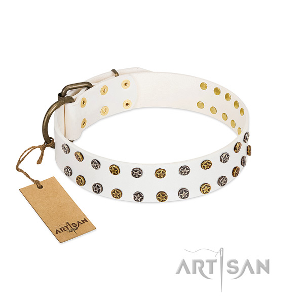 Amazing leather dog collar with rust resistant embellishments