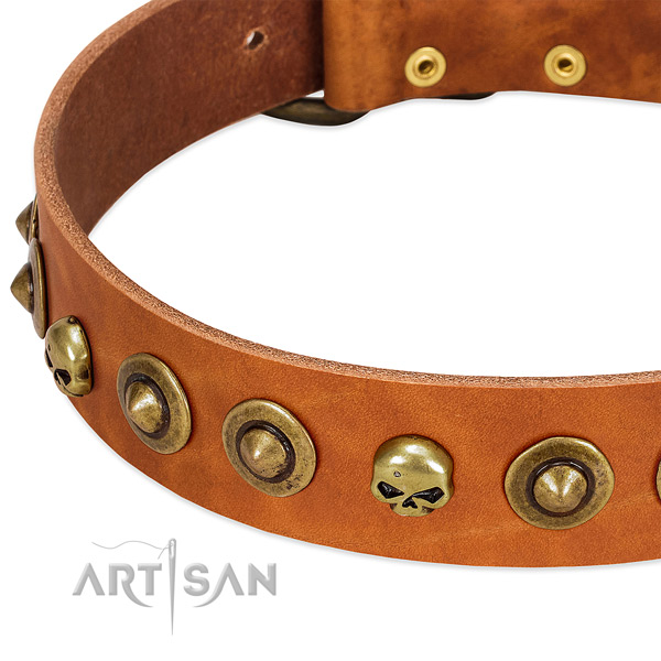 Designer embellishments on full grain natural leather collar for your dog