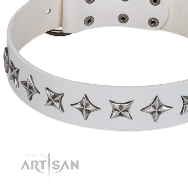 Walking embellished dog collar of best quality natural leather