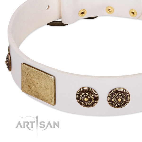 Extraordinary dog collar crafted for your impressive pet