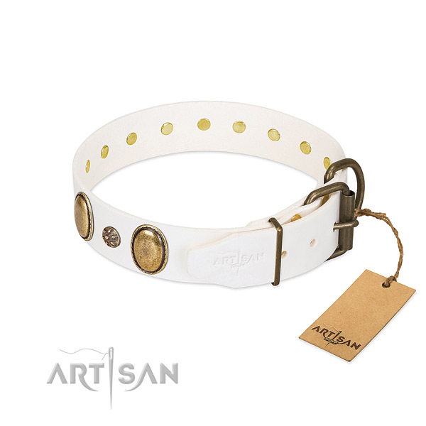 Easy wearing soft leather dog collar with adornments
