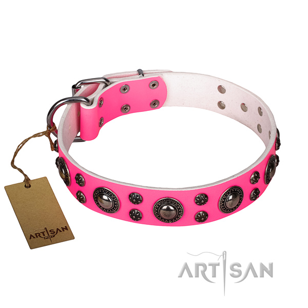 Fancy walking dog collar of best quality genuine leather with embellishments