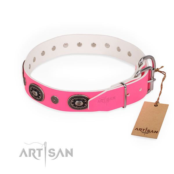 Everyday use adorned dog collar with corrosion proof buckle