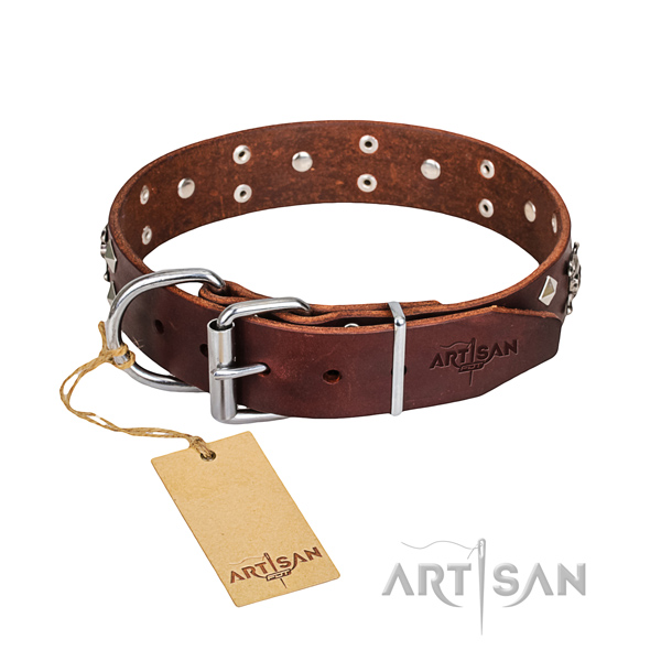 Fancy walking dog collar of strong full grain genuine leather with embellishments