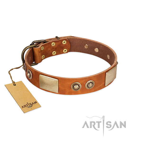 Adjustable natural genuine leather dog collar for stylish walking your canine