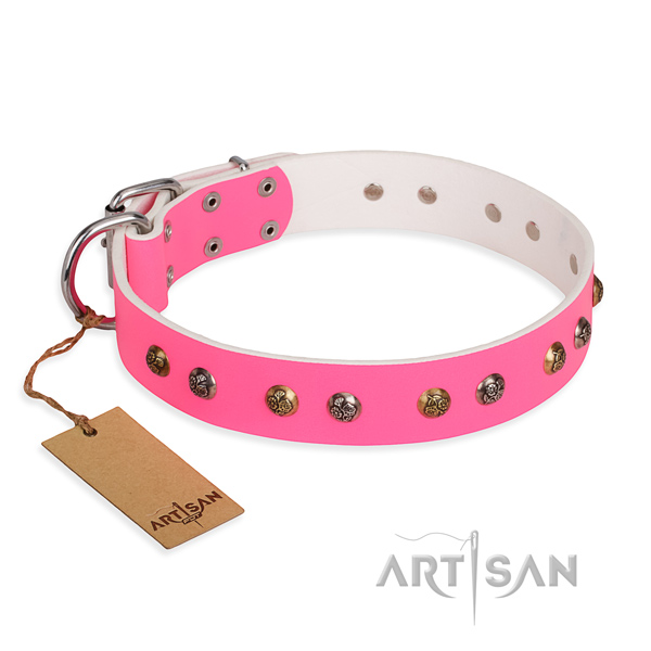 Basic training designer dog collar with reliable hardware