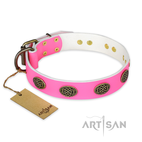 Inimitable genuine leather dog collar for daily walking