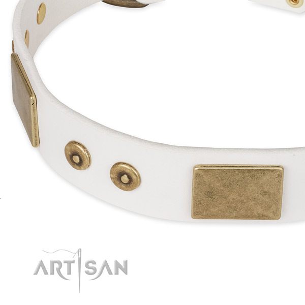 Reliable adornments on full grain natural leather dog collar for your pet