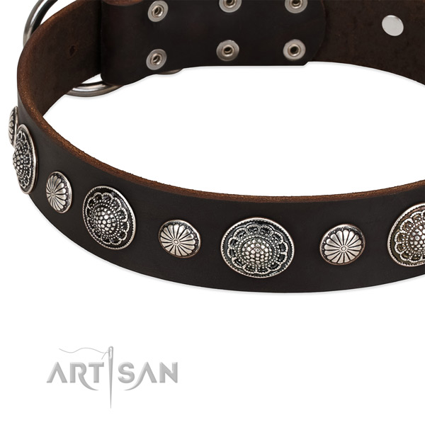 Full grain genuine leather collar with rust-proof fittings for your handsome four-legged friend