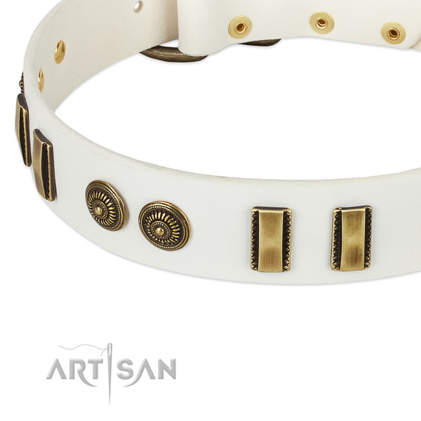 Rust resistant buckle on genuine leather dog collar for your doggie
