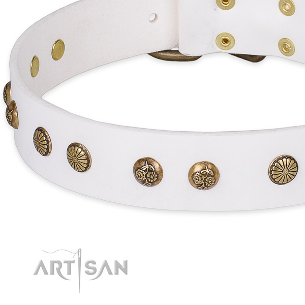 Natural genuine leather collar with corrosion resistant D-ring for your impressive doggie