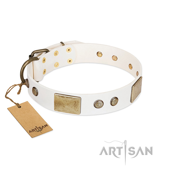 Easy to adjust leather dog collar for stylish walking your four-legged friend