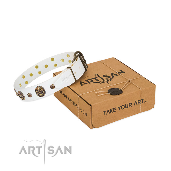 Fine quality full grain natural leather collar for your handsome pet