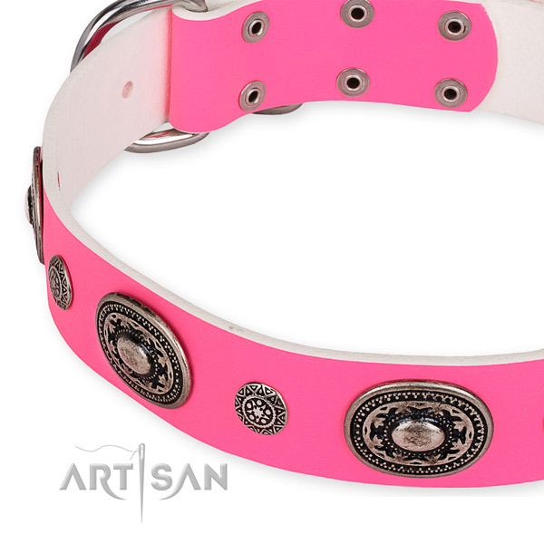 Soft full grain leather dog collar crafted for your attractive dog