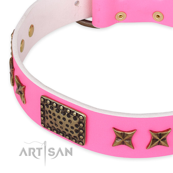 Full grain genuine leather collar with reliable traditional buckle for your attractive four-legged friend