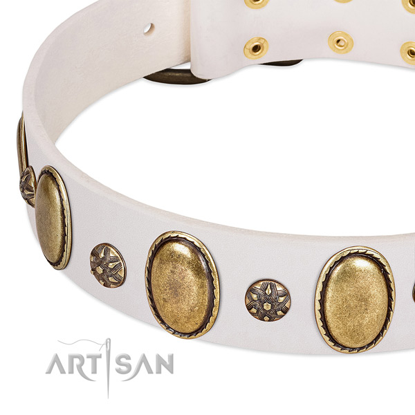 Everyday walking top rate full grain genuine leather dog collar with embellishments