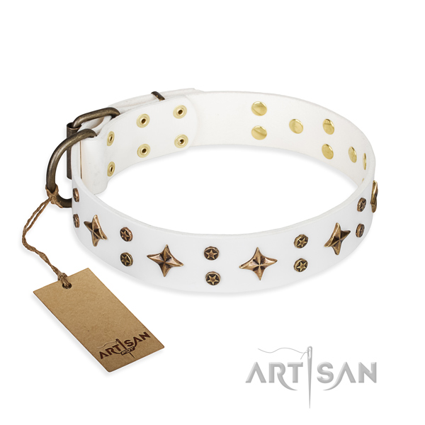 Daily use dog collar of fine quality genuine leather with studs