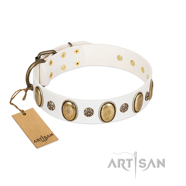 Everyday use high quality leather dog collar