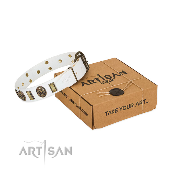 Rust-proof D-ring on full grain leather dog collar for comfy wearing