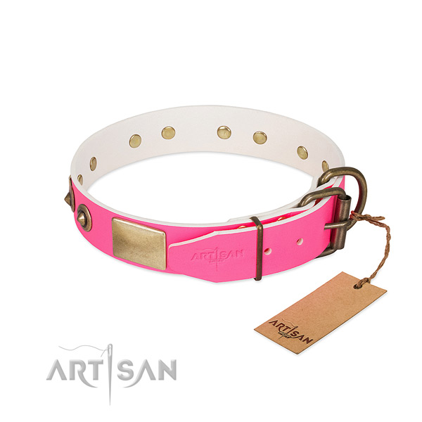 Corrosion resistant studs on full grain leather dog collar for your pet