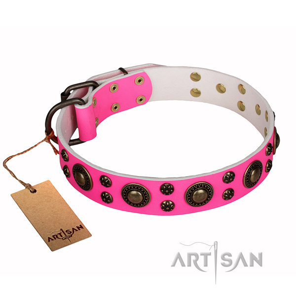Easy wearing dog collar of high quality full grain natural leather with adornments