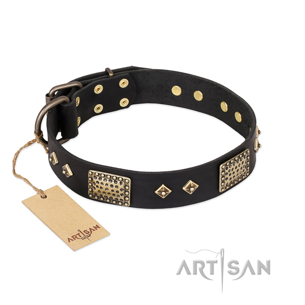 Adjustable full grain natural leather dog collar for fancy walking