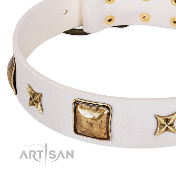 Durable embellishments on natural genuine leather dog collar for your four-legged friend