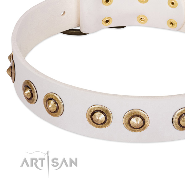 Durable decorations on full grain leather dog collar for your dog