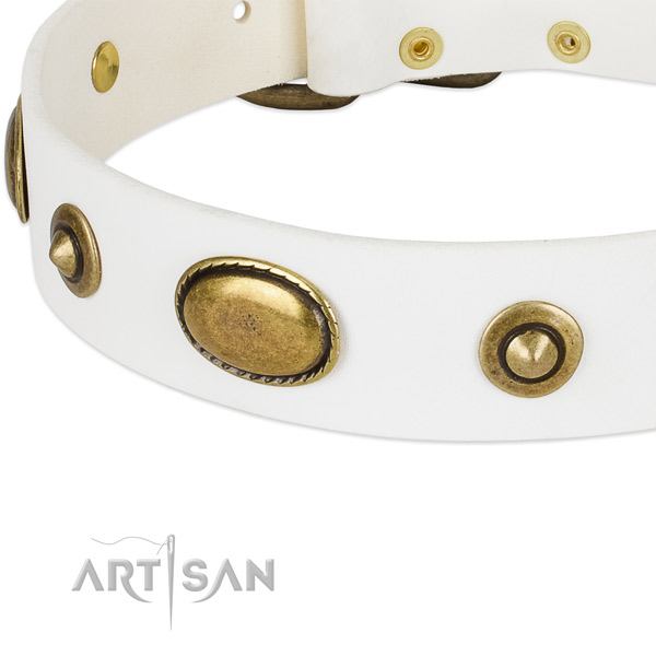 Corrosion resistant traditional buckle on natural leather dog collar for your four-legged friend