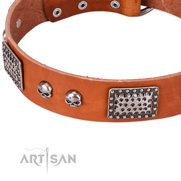 Corrosion resistant studs on full grain genuine leather dog collar for your pet