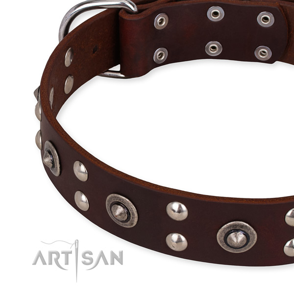 Full grain natural leather collar with rust-proof fittings for your impressive canine