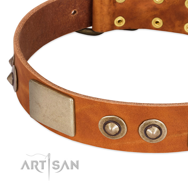 Reliable decorations on full grain genuine leather dog collar for your four-legged friend