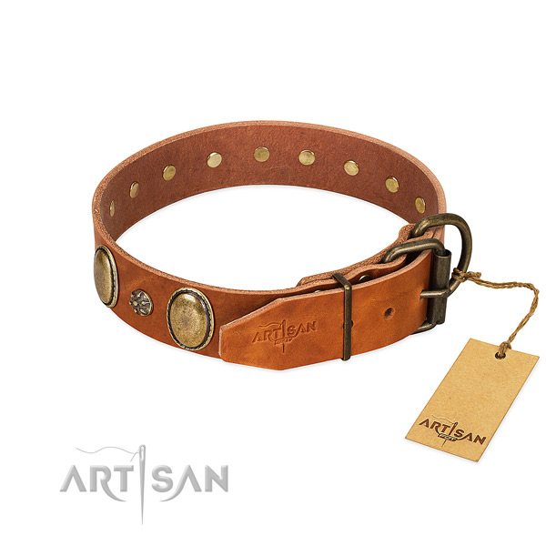 Stylish walking top notch genuine leather dog collar