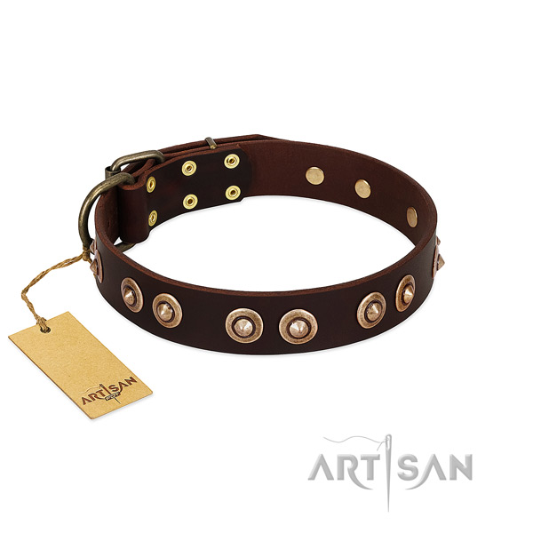 Corrosion resistant embellishments on genuine leather dog collar for your pet