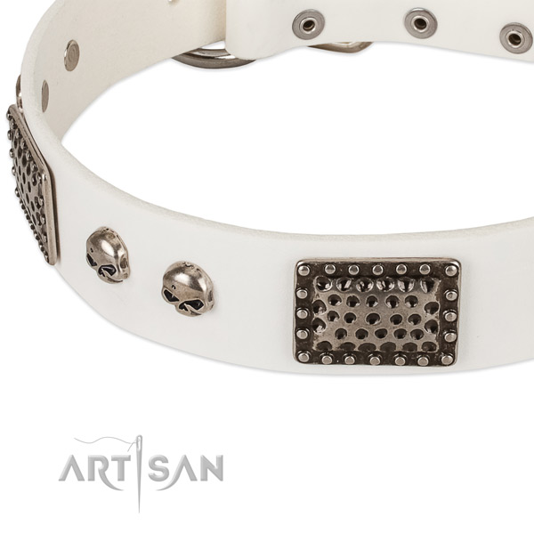 Corrosion resistant studs on leather dog collar for your doggie