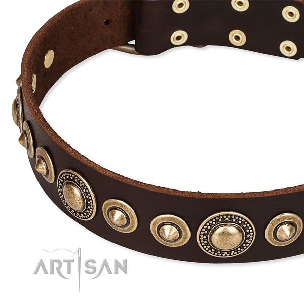 Strong genuine leather dog collar handcrafted for your stylish dog