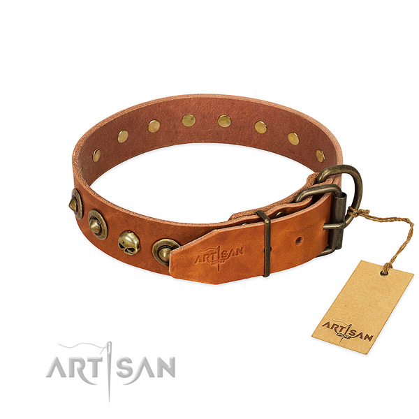 Full grain natural leather collar with unusual decorations for your dog