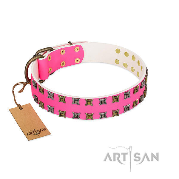 Natural leather collar with top notch decorations for your canine