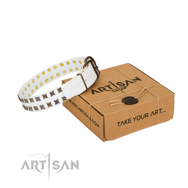 Natural leather collar with trendy embellishments for your doggie