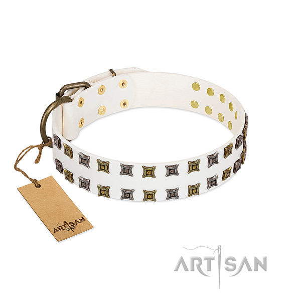 Leather collar with amazing studs for your canine