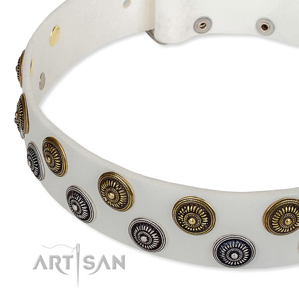 Stylish walking embellished dog collar of quality full grain genuine leather