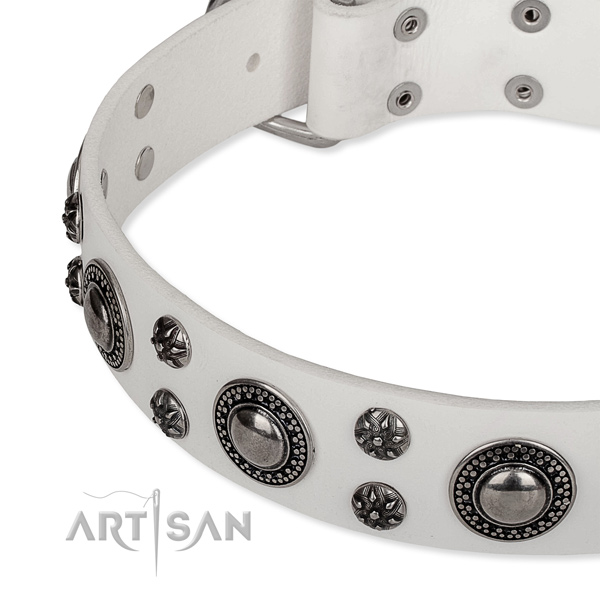 Easy wearing studded dog collar of high quality full grain natural leather