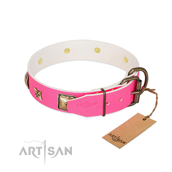 Rust-proof buckle on genuine leather collar for daily walking your pet