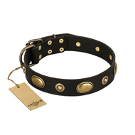 "Eye-Catcher" FDT Artisan Black Leather Collie Collar for Walking in Style