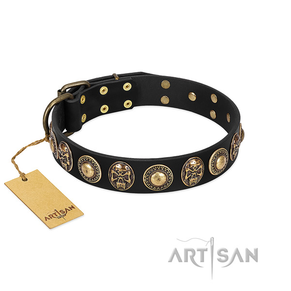 Easy wearing full grain natural leather dog collar for basic training your canine